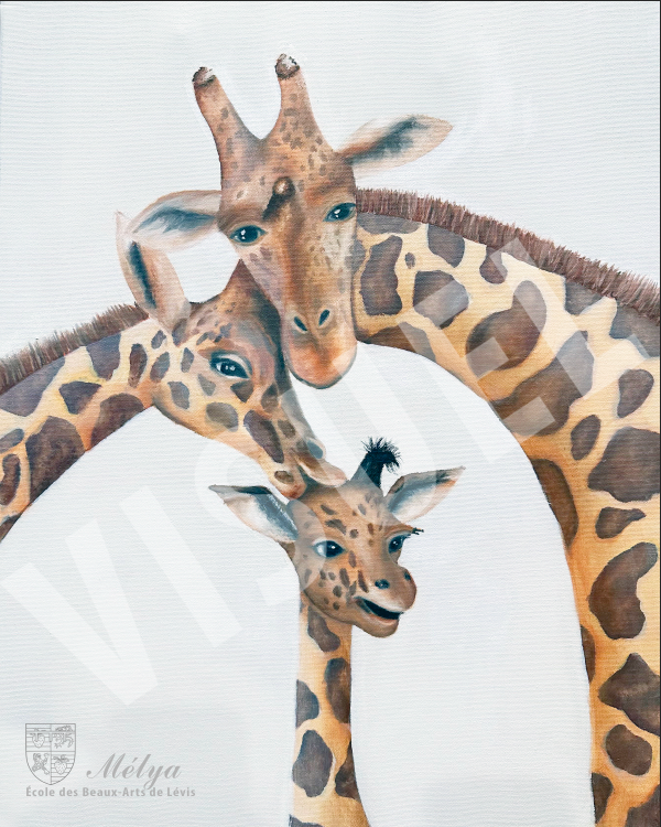 Girafes