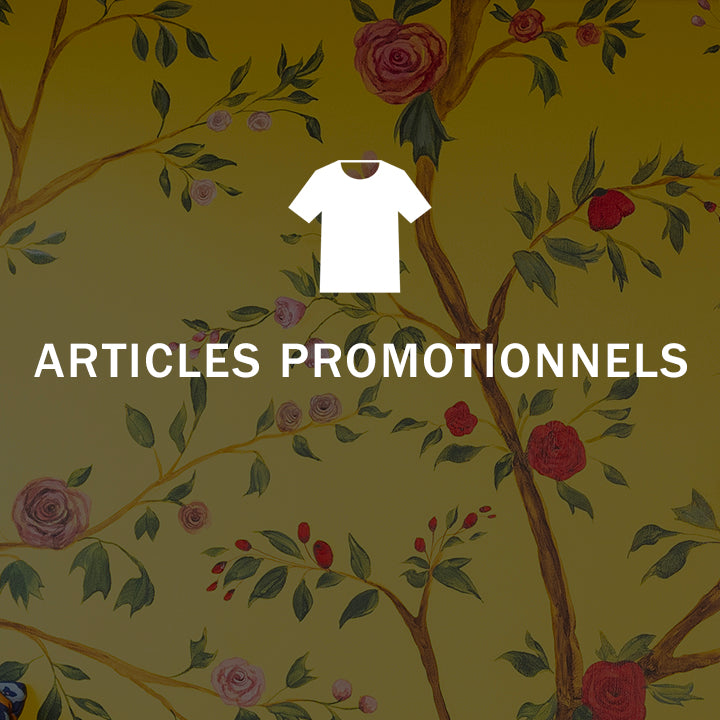 ARTICLES PROMOTIONNELS