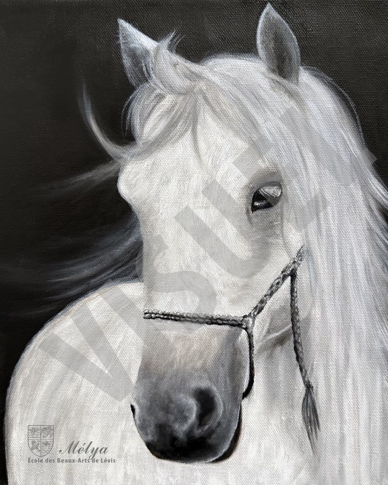 Cheval Blanc