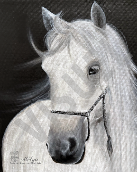 Cheval Blanc