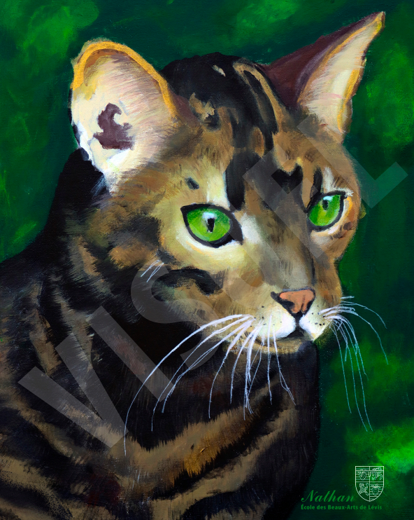 Le Chat de Grand-Maman